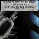 Tiger Fleet Symphonic Orchestra - Birds Into Bees