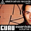 Pulp Fusion - Wrong World (Guau Remix)