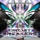 Circuit Breakers - We're Not Alone