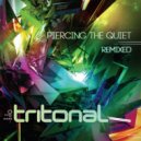 Tritonal feat. Jenry R - Something New