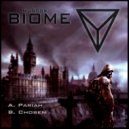 Biome - Chosen