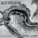 Rauschhaus & Mel7em - Silk Road