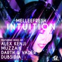 Melleefresh - Intuition