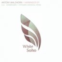 Antony Waldhorn - Voyager