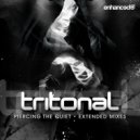 Tritonal feat. Fisher - Slave