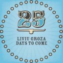 Liviu Groza - Lo To Hi