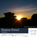 Paxton Fettel - Mute Euphoria