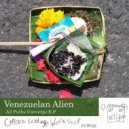 Venezuelan Alien - Faulty Parts (False Starts)