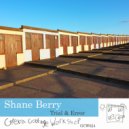 Shane Berry - For The Time Being
