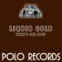 Liquid Gold - Coming Down (Original Mix)