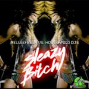 Melleefresh vs HouseAmigo DJs - Sleazy Bitch (Per Qx Dub Remix)