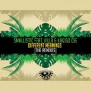 Smallistic, Villa, Kagiso Cee - Different Meanings