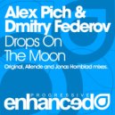 Alex Pich & Dmitry Federov - Drops On The Moon (Original Mix)