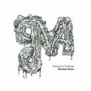 Vindicatrix - Private Places (Shackleton & Mordant Music Remix)