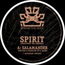 Spirit - Holding Back
