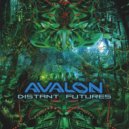 Avalon - Swamp Funk