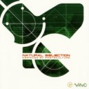 Triptych - Celtych (Original Mix)