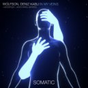 Wolfson & Deniz Kabu - In My Veins