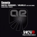 Seneta & Ben Shaw - Valhalla (Original Mix)