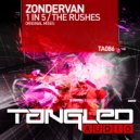 Zondervan - 1 In 5