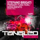 Stefano Brigati - Primary Function