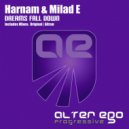 Harnam & Milad E - Dreams Fall Down