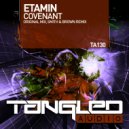 Etamin - Covenant (Smith & Brown Remix)