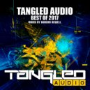 Various Artists - Tangled Audio - Best Of 2017