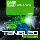 Daved - Heaven Voices
