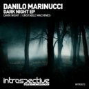 Danilo Marinucci - Unstable Machines