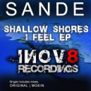Sande - I Feel (Moein Remix)