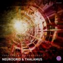 Neurogrid & Thalamus - Discover