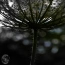 JSE - Refuse Reluctantly (Original Mix)