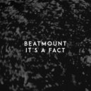 Beatmount - It's a Fact