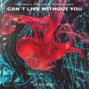 Strangely Familiar & Whistle Back - Can't Live Without You