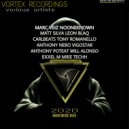 Marc Veiz - Vm Amplifier