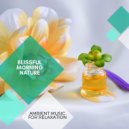 Mystical Guide - A Sudden Pause (Original Mix)