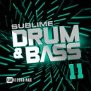Linear - Fundamental Funk