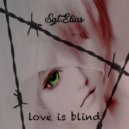Sgt.Elias - Love Is Blind