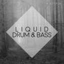 Useless D.I. - Morning Story