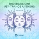 Psychotic Storm - Bombay Rave