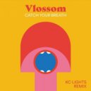 Vlossom, Peter Mayes & Nicholas Littlemore - Catch Your Breath