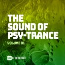 Monolock & Pablo Anon - Nanocosmos (Extended Mix)