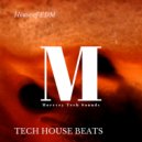 Sebastian Mob - A Tech Fusion (Original Mix)