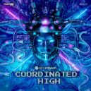 Dave Steward - Coordinated High