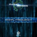 Phonic Senses - Darkness