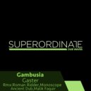Gambusia - Gaster