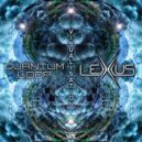 Quantum Loop - Cosmos Dust