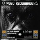 L0G1N - The Grim Monkey