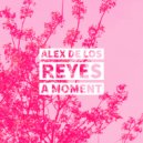 Alex de los Reyes - A Moment (Original Mix)